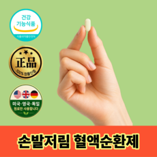 여성 남성 손발저림에 좋은 혈액순환제 징코 은행잎추출물 플러스 식약청인증, 2개, 60정
