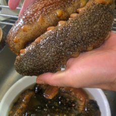 동해안 홍해삼 해삼 자연산 참해삼 생물 활해삼 붉은해삼, 1개, 해삼 500g