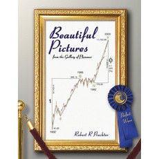 (영문도서) Beautiful Pictures: from the Gallery of Phinance Paperback, New Classics Library, English, 9781616041212