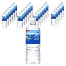 Asahi 맛있는 물 후지산의 바나듐 생수 페트병, 24개, 600ml