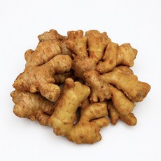 맛통령 국내산 흙생강, 1개, 흙생강 500g