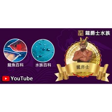 龍爵士水族 龍魚通用燈 水族燈, 詳見包裝, 3尺 15W(燈長82公分)