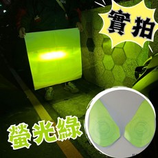 PGO ALPHA MAX 大燈護片 (螢光綠), 1個, 螢光綠,普通款(無雕刻)
