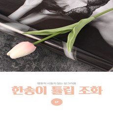 오알엔케이 뷰티 한송이 튤립 조화(연핑크) 조화화분