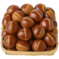 선별특품 칼집 햇 밤 공주 고당도 꿀밤 산지직송 (대사이즈) 디아머스, 1개, 1kg