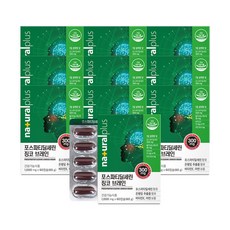 내츄럴플러스 포스파티딜세린 징코 브레인 60캡슐 / 기억력 인지력개선 비타민E 아연, 60정, 10개