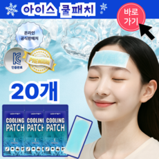 [짱시원] 붙이는 아이스 쿨패치 쿨팩 쿨링 장시간 시원함 2025년 제조 상품, 20개
