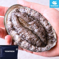 [선물포장] 완도활전복 1kg 12-13미 (미당77g내외), 1개