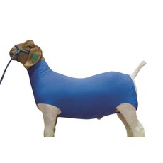 가죽 면 염소 튜브, Blue, Small