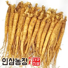 더굿진생 인삼 수삼 금산인삼 삼계삼 350g, 1개, (세척안함)알뜰형 350g(24~33뿌리)