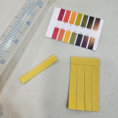 다모아만물상 PH 산도측정 리트머스용지 실험용 리트머스지 교보재, 1개