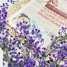 늘DIX 등나무 소형 보라