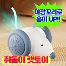 앤트앤비 스마트 강아지 고양이 장난감 야광꼬리 달리는 쥐돌이 자동 움직이는 쥐, 1개, 화이트, 쥐돌이장난감