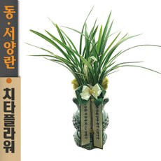 치타플라워 동양란 황룡관 [CD06-010] 승진 개업 축하 난 동양난 영전 취임 생일 선물 화분 고급 란 전국 배송 꽃배달, 1개
