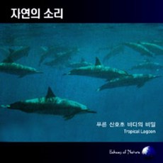 푸른 산호초 바다의 비밀 : Tropical Lagoon