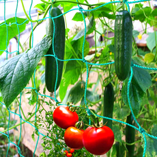 디원더 넝쿨 그물 오이 호박 그물 모음, 4개