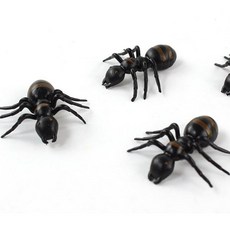 홈데코 장식소품 미니어쳐 곤충 왕개미 벌레 모형