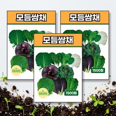 모듬쌈채 씨앗 종자 1500립, 3개