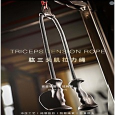 子甄彣璟 飛鳥把手 三頭肌 二頭肌 高位下拉 健身 下壓繩索, 1個