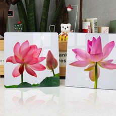 da248-폼아크릴액자18CmX18CmX2ea_풍수청아한연꽃01