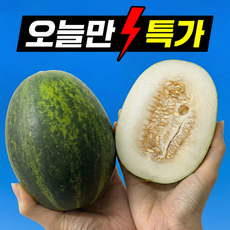 [24시간초특가]딱100박스만 고당도 멜론 못난이 파파야메론, 1박스, 2kg