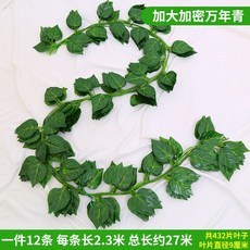 仿真綠蘿葉葡萄葉壁掛裝飾，塑膠假藤條，店鋪婚慶裝飾綠植藤條, 36片萬年青12條, 1個