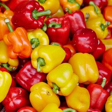 국내산 못난이 파프리카 1kg 빨강노랑, 1박스