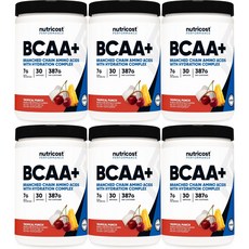 뉴트리코스트 고흡수 BCAA 플러스 파우더 트로피컬펀치, 6개