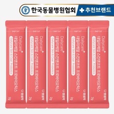 펫생각 강아지 특허 유산균 10일 체험팩 10g 10개입 프로바이오틱스 장 건강 영양제, 장건강/유산균, 1개