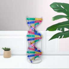 입체 DNA 모형만들기 유전자 이중나선구조 관찰 염색체 개념학습 DIY 과학교구