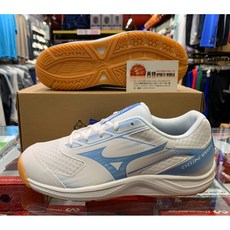 Mizuno 美津濃 男女鞋 排球鞋 CYCLONE SPEED 5 白色 白/藍 輕量透氣 耐磨