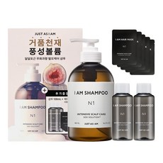 아이엠 샴푸 인텐시브 스칼프 케어, N1 480+100ml+헤어마스크5P