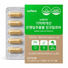 뉴메이트 기억력개선 은행잎추출물 징코빌로바, 30정