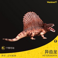 고대생물 해양동물 앵무조개 암모나이트 피규어 모형, R. 이치용