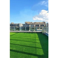 축구장 롤매트 인조잔디 암호화 실내, 1개, 2.5cm 증가형 2m너비x3m길이