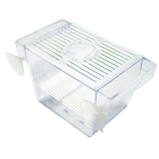 아마존 미니 부화통, 4개