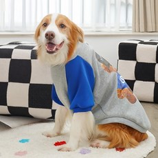 율이네 중형견 대형견 러브곰돌이 기모 맨투맨, 1개, 블루