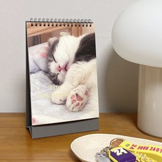 그루밍데이 26년 탁상 달력 코비베리 고양이 캘린더, 1개, 코비베리탁상달력