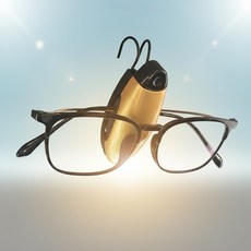 운전자용품 썬바이저 차량용 안경클립 선글라스 보관함, 1개