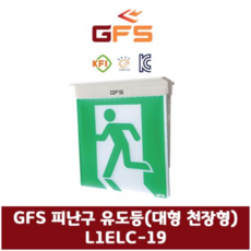 대형 피난구 유도등 천정형 단면 금성방재, 기본, 1개, 단면 무방향