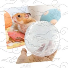 햄스터 투명 운동볼 다이어트 헬스 쳇바퀴 놀이터 장난감, 1개, 상세페이지 참조