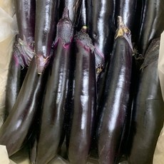 기타 국내산 축양 가지 1kg, 1박스