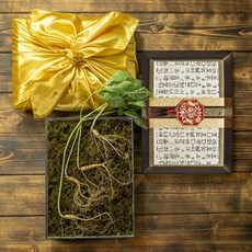 [지브로와] 100년 더 약초 강원도 토종 VVIP 산양삼 산양산삼 선물세트[5-6년근 4뿌리], 단품