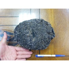 Agni Manitite 印尼隕石 3493克