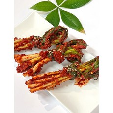 영주네장독대 국내산 파김치 수제김치, 1kg, 1개