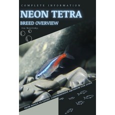 (영문도서) Neon Tetra: From Novice to Expert. Comprehensive Aquarium Fish Guide Paperback, Independently Published, English, 9798850008901
