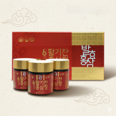 진웰빙 대동 6년근 활기찬 홍삼정, 3개, 100g