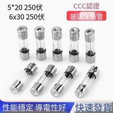 250V 玻璃保險絲管 (5x20mm 6x30mm), 1個