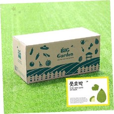 주방 창가 자급자족 호박 모종 키우기 세트 자동급수 시스템 실내 텃밭 가꾸기, 1개, 상세페이지 참조