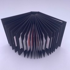 이시하라색약 검사책 보건소 혼합 160 보건실 상품 결핍증 검사표 버전 38 창고, 1개